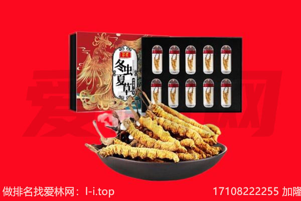 七台河回收虫草.jpg